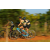 Team 10 / Raid l'Arbre Vert Cambodge - VTT