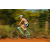 Team 07 / Raid l'Arbre Vert Cambodge - VTT