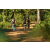 Team 57 / Raid l'Arbre Vert Cambodge - VTT