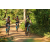 Team 57 / Raid l'Arbre Vert Cambodge - VTT