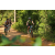 Team 57 / Raid l'Arbre Vert Cambodge - VTT