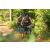 Team 57 / Raid l'Arbre Vert Cambodge - VTT