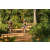 Team 65 / Raid l'Arbre Vert Cambodge - VTT