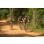 Team 10 / Raid l'Arbre Vert Cambodge - VTT