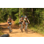 Team 15 / Raid l'Arbre Vert Cambodge - VTT