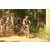 Team 37 / Raid l'Arbre Vert Cambodge - VTT
