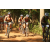 Team 37 / Raid l'Arbre Vert Cambodge - VTT