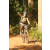 Team 53 / Raid l'Arbre Vert Cambodge - VTT