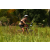 Team 24 / Raid l'Arbre Vert Cambodge - VTT