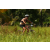 Team 24 / Raid l'Arbre Vert Cambodge - VTT