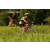 Team 24 / Raid l'Arbre Vert Cambodge - VTT