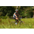 Team 22 / Raid l'Arbre Vert Cambodge - VTT