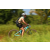 Team 22 / Raid l'Arbre Vert Cambodge - VTT