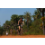 Team 86 / Raid l'Arbre Vert Cambodge - VTT
