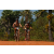 Team 86 / Raid l'Arbre Vert Cambodge - VTT