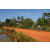 Raid l'Arbre Vert Cambodge - VTT