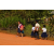 Raid l'Arbre Vert Cambodge - VTT