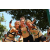 Team 39 / Raid l'Arbre Vert Cambodge - VTT