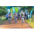 Team 15 / Raid l'Arbre Vert Cambodge - VTT