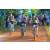 Team 57 / Raid l'Arbre Vert Cambodge - VTT
