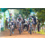 Team 22 / Raid l'Arbre Vert Cambodge - VTT