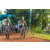 Team 46 / Raid l'Arbre Vert Cambodge - VTT