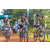 Team 06 / Raid l'Arbre Vert Cambodge - VTT