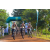 Team 56 / Raid l'Arbre Vert Cambodge - VTT