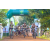 Team 24 / Raid l'Arbre Vert Cambodge - VTT