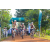 Team 38 / Raid l'Arbre Vert Cambodge - VTT