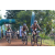 Team 37 / Raid l'Arbre Vert Cambodge - VTT