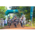 Team 20 / Raid l'Arbre Vert Cambodge - VTT
