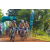 Team 62 / Raid l'Arbre Vert Cambodge - VTT