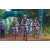 Team 52 / Raid l'Arbre Vert Cambodge - VTT