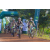 Team 47 / Raid l'Arbre Vert Cambodge - VTT
