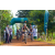 Team 09 / Raid l'Arbre Vert Cambodge - VTT