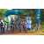 Team 44 / Raid l'Arbre Vert Cambodge - VTT