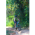 Team 57 / Raid l'Arbre Vert Cambodge - VTT