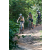 Team 61 / Raid l'Arbre Vert Cambodge - VTT