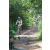 Team 22 / Raid l'Arbre Vert Cambodge - VTT