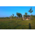 Raid l'Arbre Vert Cambodge - VTT