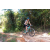 Team 15 / Raid l'Arbre Vert Cambodge - VTT