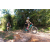 Team 15 / Raid l'Arbre Vert Cambodge - VTT