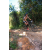 Team 28 / Raid l'Arbre Vert Cambodge - VTT