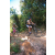 Team 33 / Raid l'Arbre Vert Cambodge - VTT