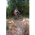 Team 41 / Raid l'Arbre Vert Cambodge - VTT