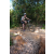 Team 41 / Raid l'Arbre Vert Cambodge - VTT