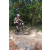 Team 39 / Raid l'Arbre Vert Cambodge - VTT
