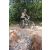 Team 77 / Raid l'Arbre Vert Cambodge - VTT
