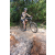 Team 77 / Raid l'Arbre Vert Cambodge - VTT